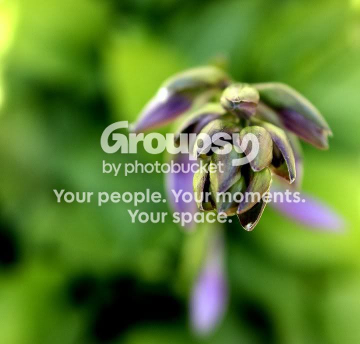 34468_778056581435_22422587_4439899.jpg