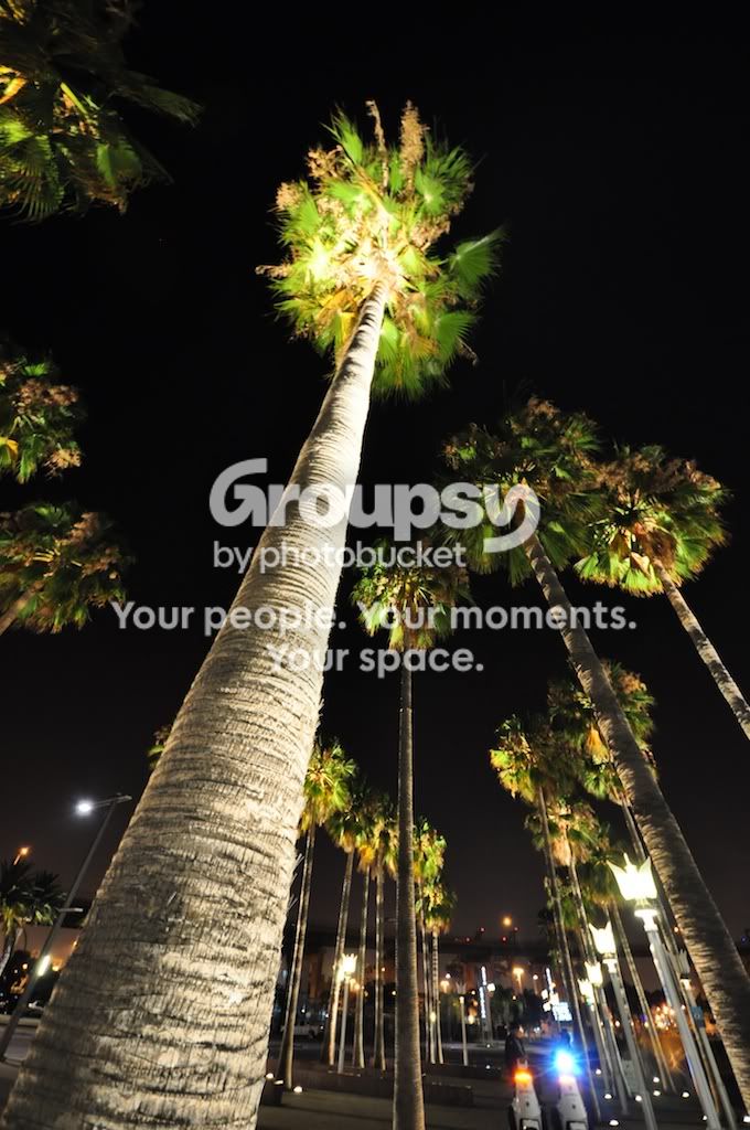 SanPedro612.jpg