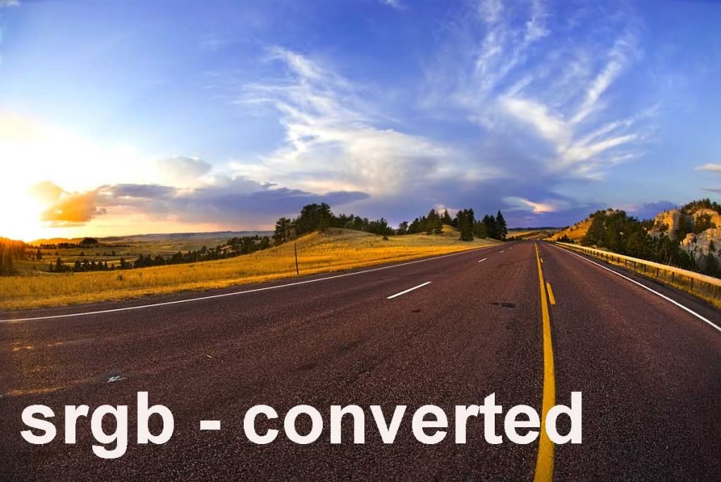 DSCsrgbconverted.jpg