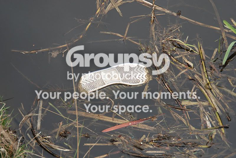 shoe.jpg