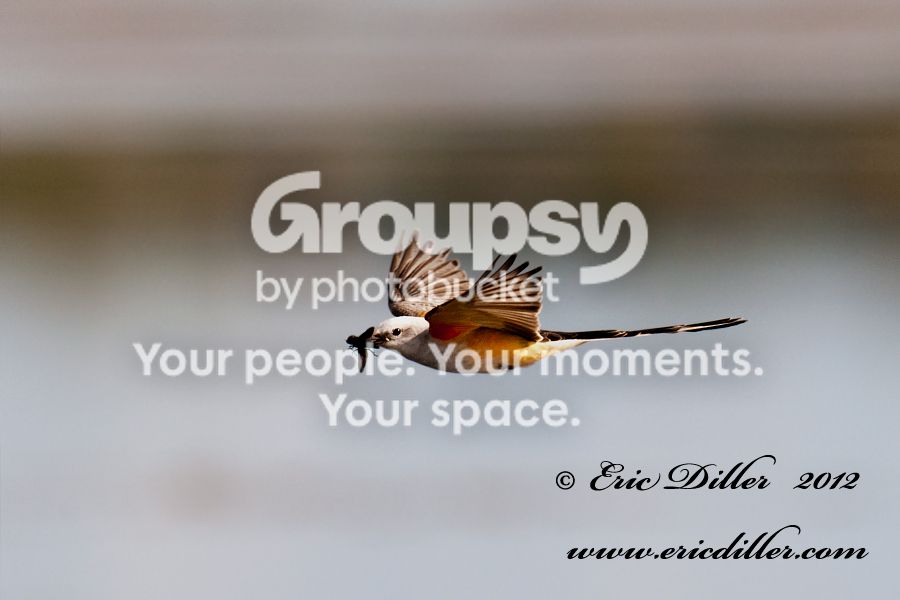 _ECD5307-copy900-1.jpg