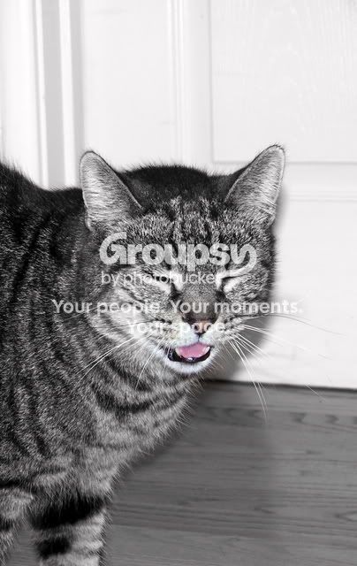 100_5642.jpg
