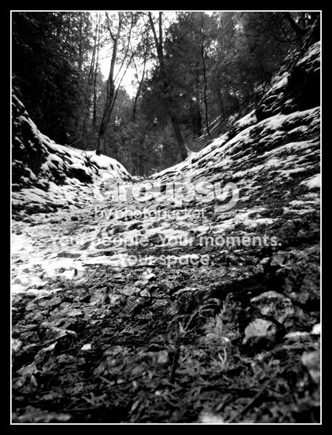 cove_bw.jpg