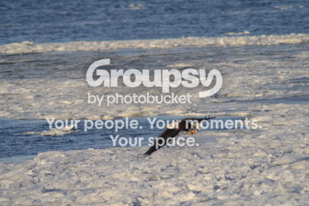 IMG_6690-e1.jpg