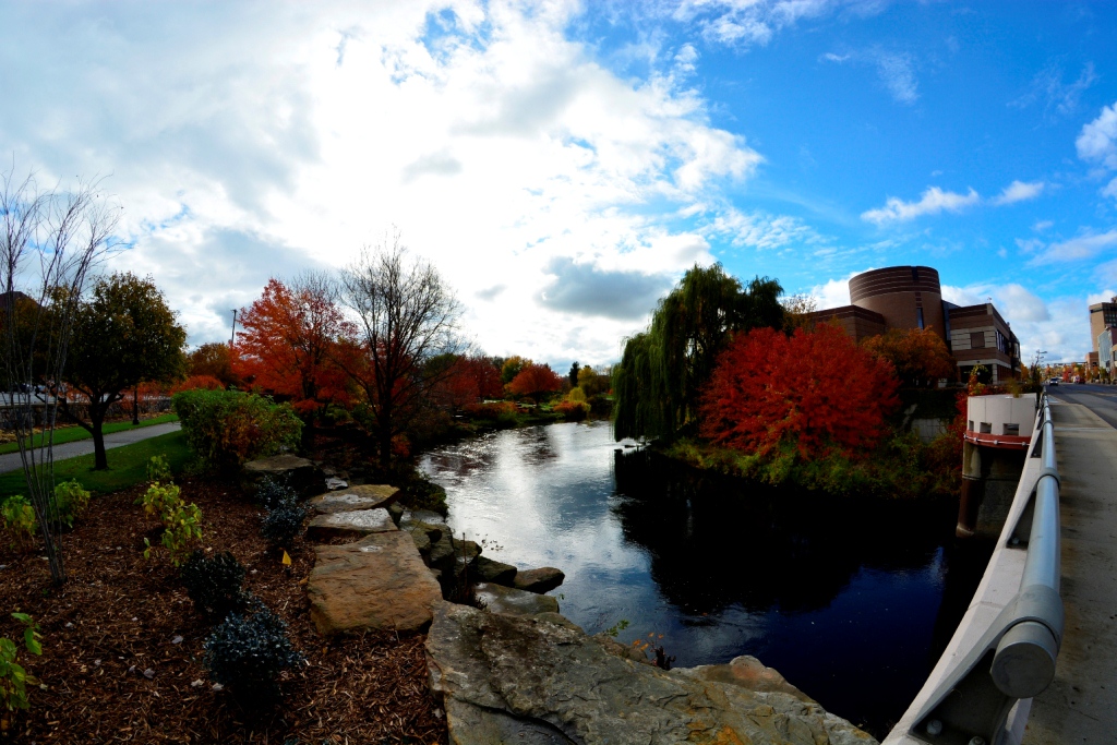 bc-mi_11-2013_10.jpg