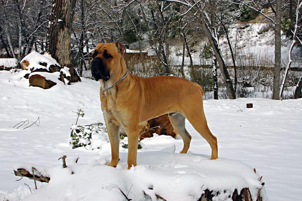 136_UM_edited-1.jpg