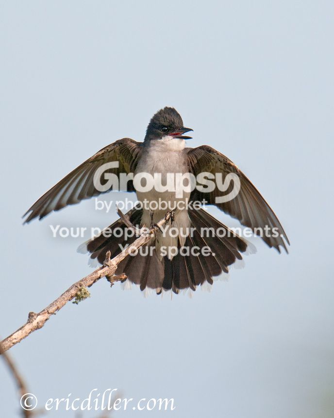 _ECD5359-copy860.jpg