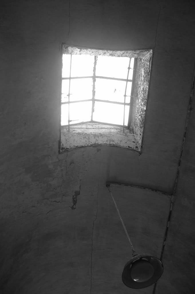 ImportedPhotos00319.jpg