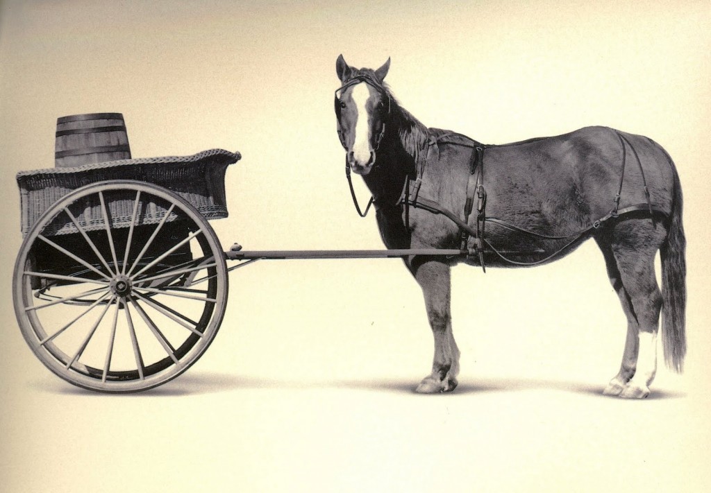cart_before_the_horse-1024x7111.jpg