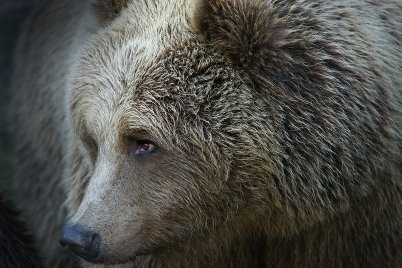 zoo19.jpg
