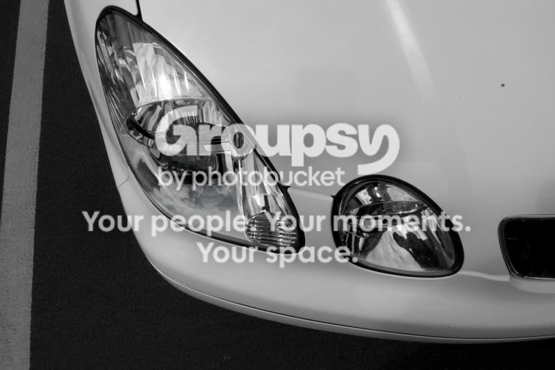 20080528_11.jpg