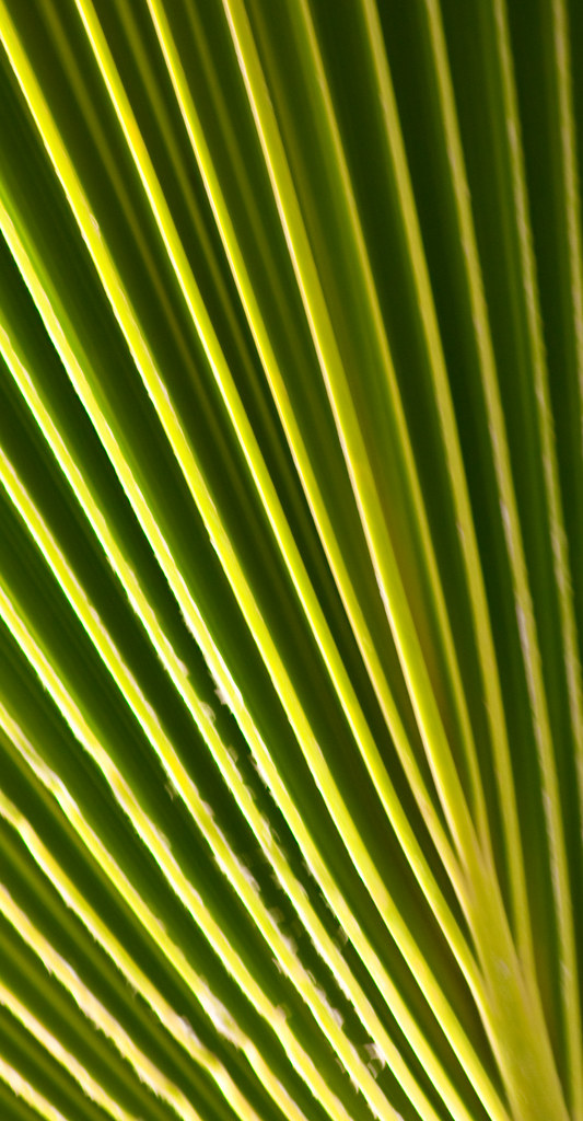 3923053706_6287ae6f0f_b.jpg