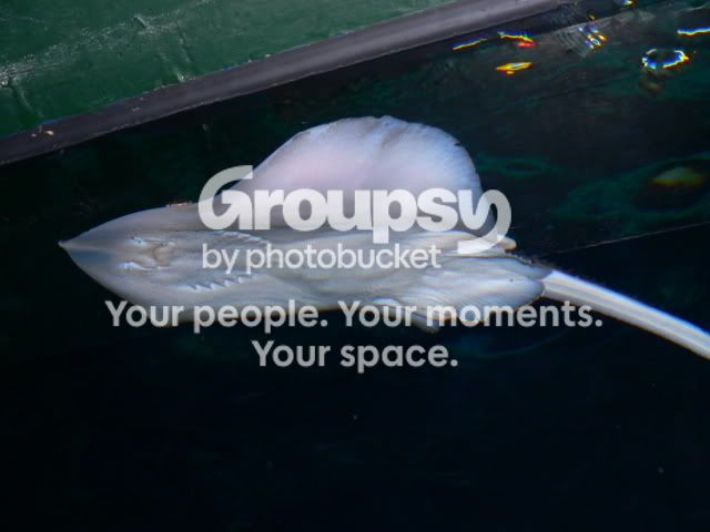 20060406_0090.jpg