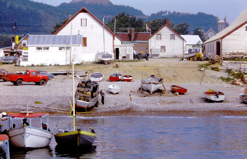PICT1168a.jpg