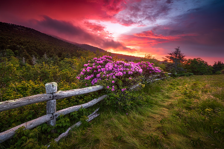 meet_in_the_middle_appalachian_trail_blue_ridge_nc.jpg