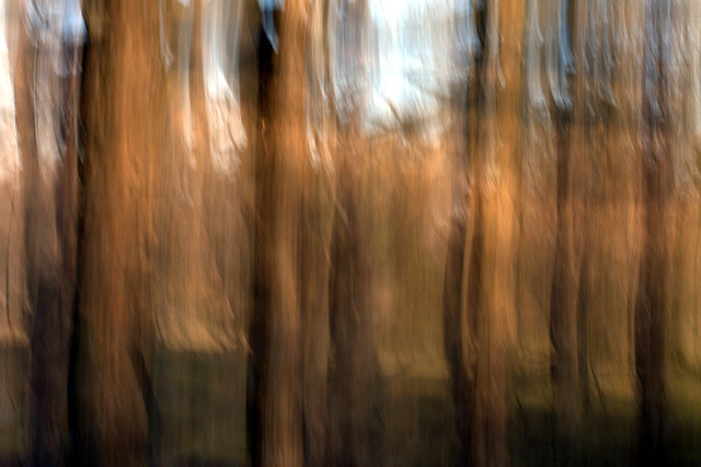 6723635421_c2a9f547d6_z.jpg