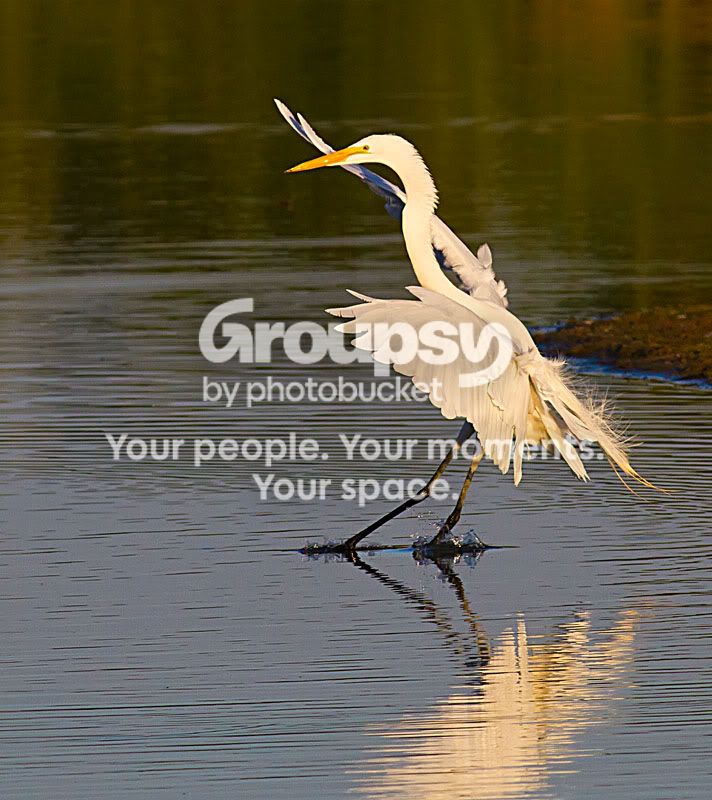 IMG_8358-Edit.jpg