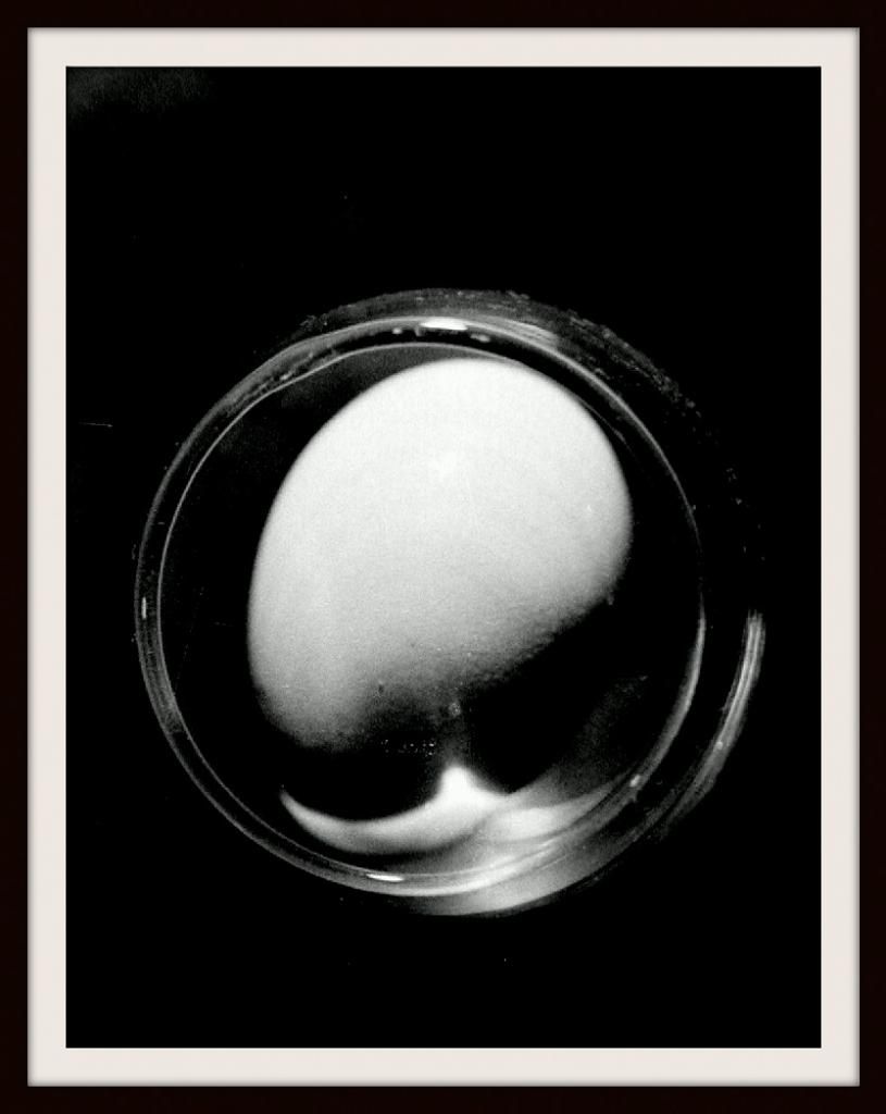 EGGLASS.jpg