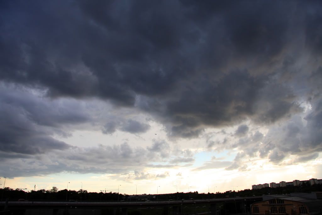 IMG728c.jpg