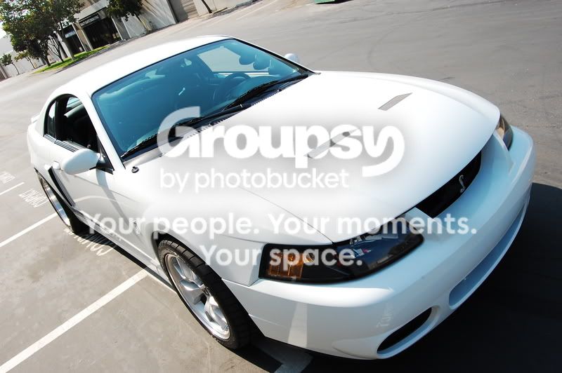 SaturdayCobraShoot016.jpg