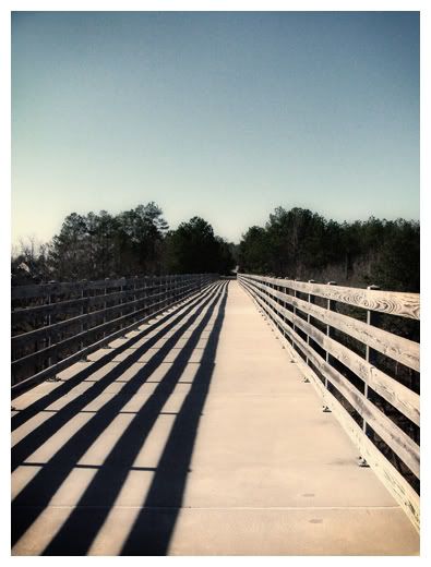 bridge.jpg