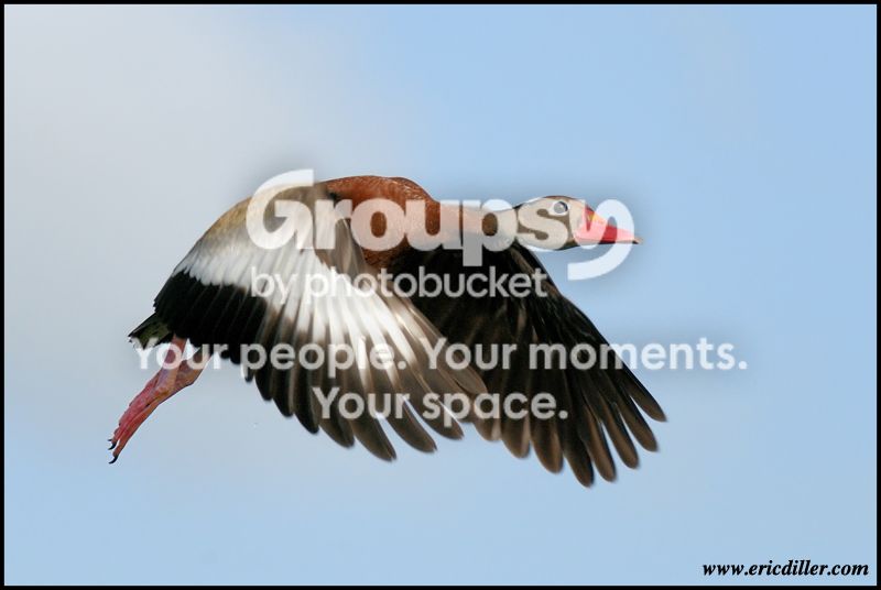PIC_7829copy.jpg