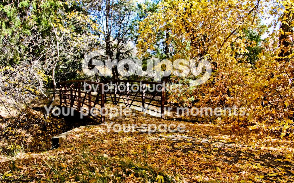 Lightroom-938.jpg