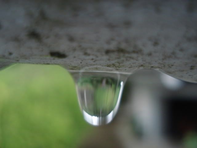 DSC08734.jpg