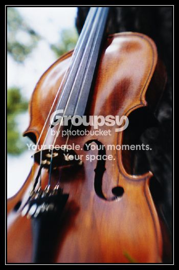 violin3.jpg