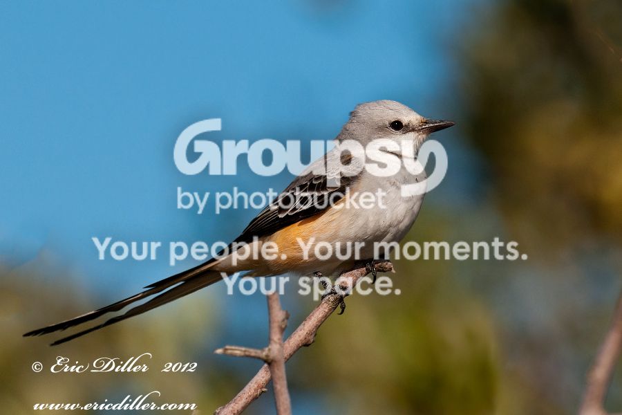 _ECD5435-copy900.jpg