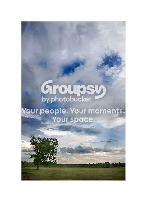 treeandsky1-sm.jpg