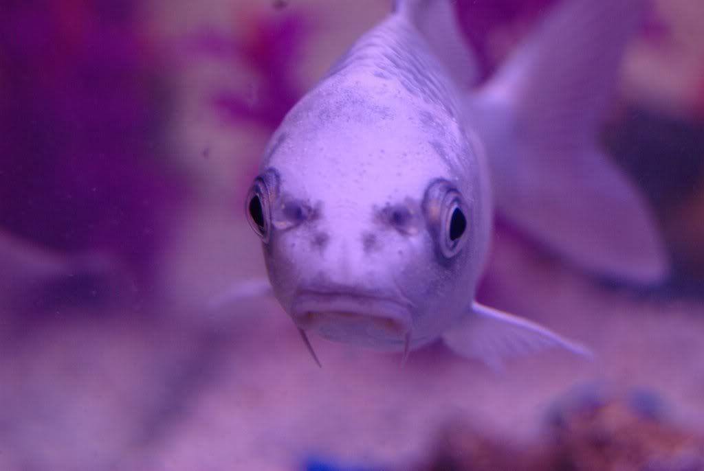 DSC_1587.jpg