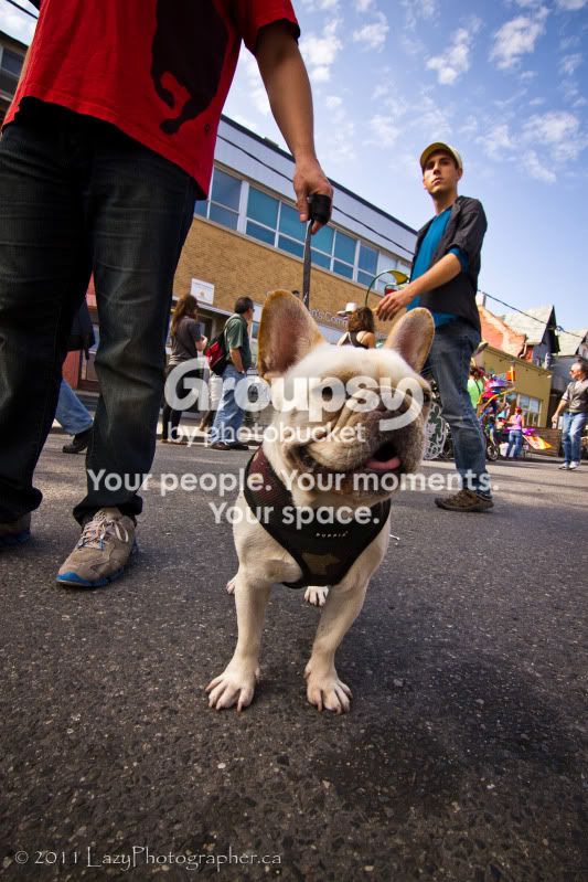 KensingtonMarketSept-92-EDITED.jpg