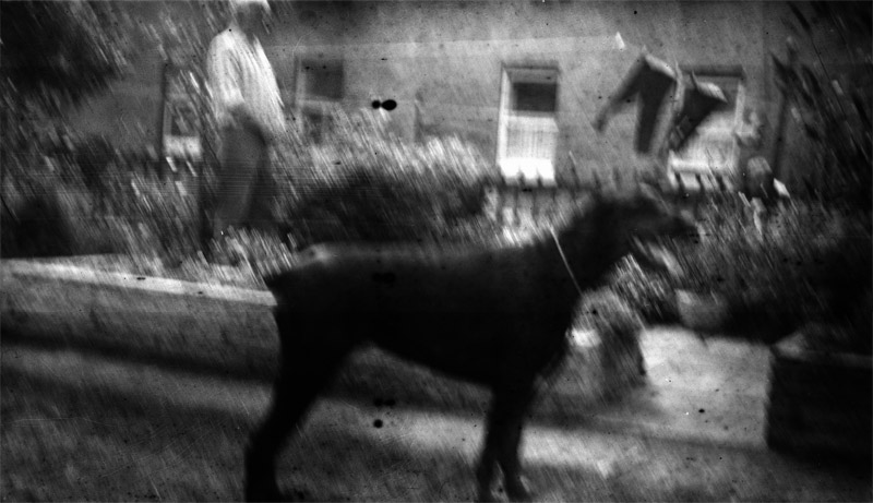 4820939254_58c6a902d8_o.jpg