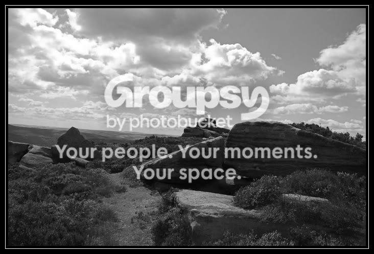 bwlandscape2.jpg