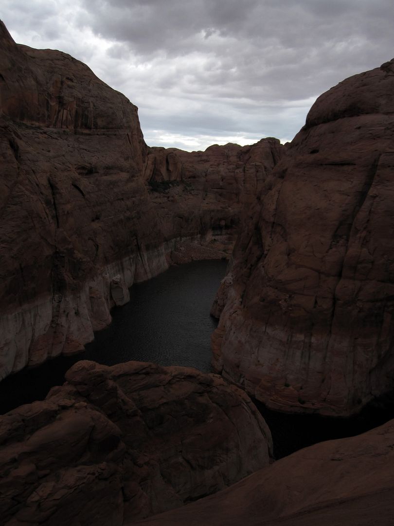 powell2.jpg