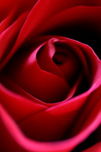 2383119209_b600efe41f.jpg