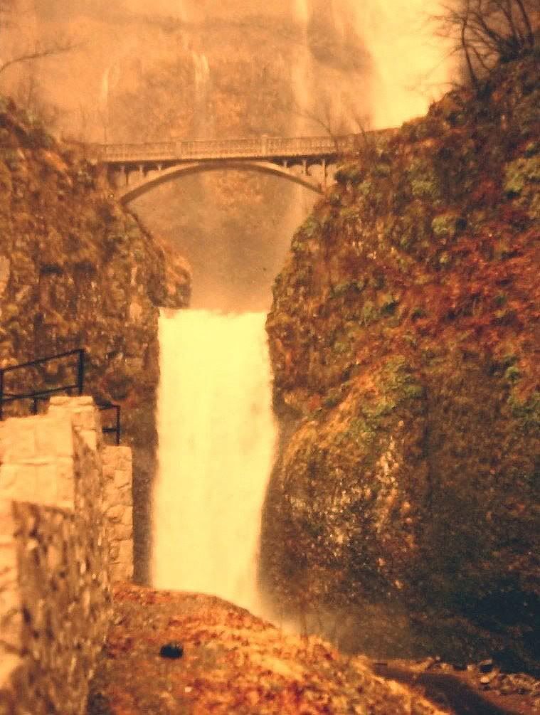 Oregon1.jpg