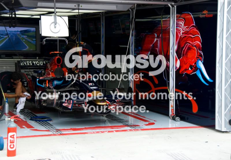 RedBullCarandBull.jpg