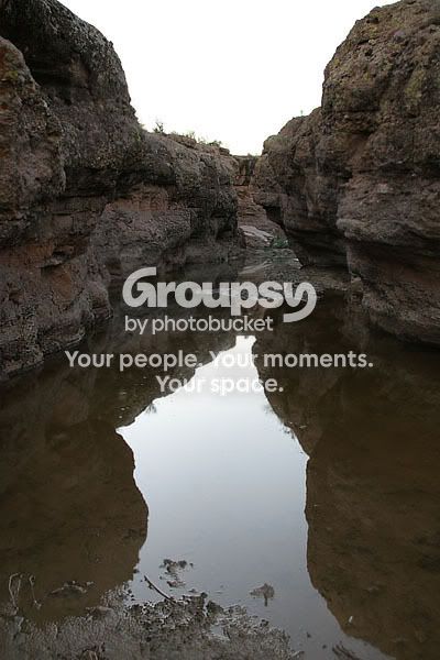 IMG_7980compositeshare.jpg