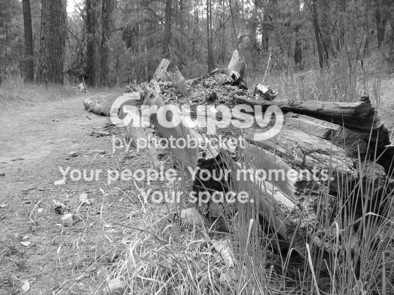 PaysonCamping114e1.jpg