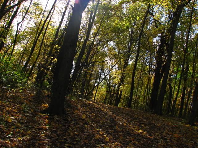 IMG_4303.jpg