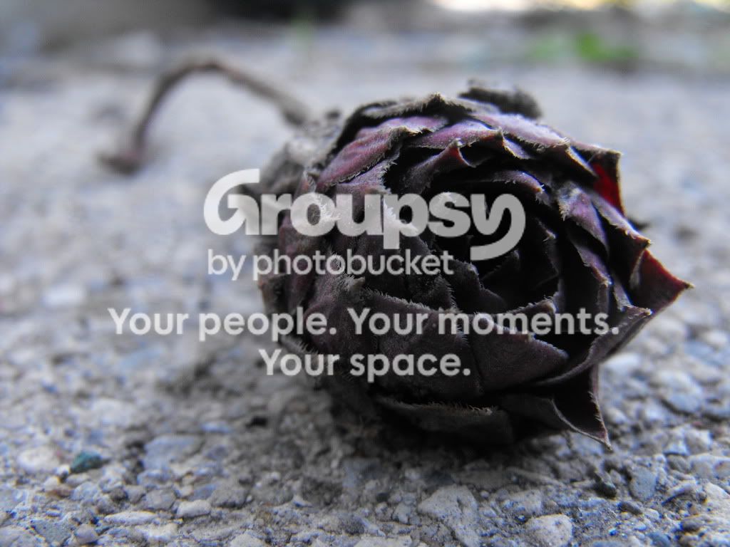 june122009457117.jpg