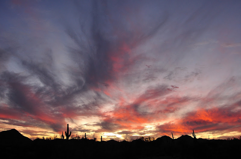 DSC_1183_001.JPG