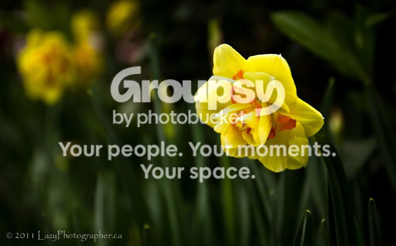 Greenhouse-40-EDITED.jpg