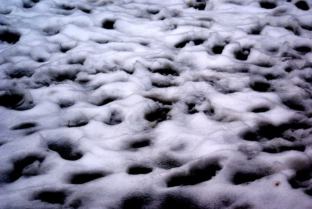 DSC00070.jpg