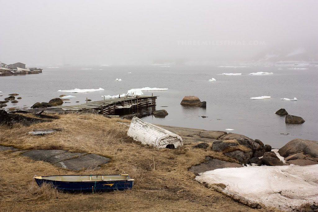 RedBay-Labrador.jpg