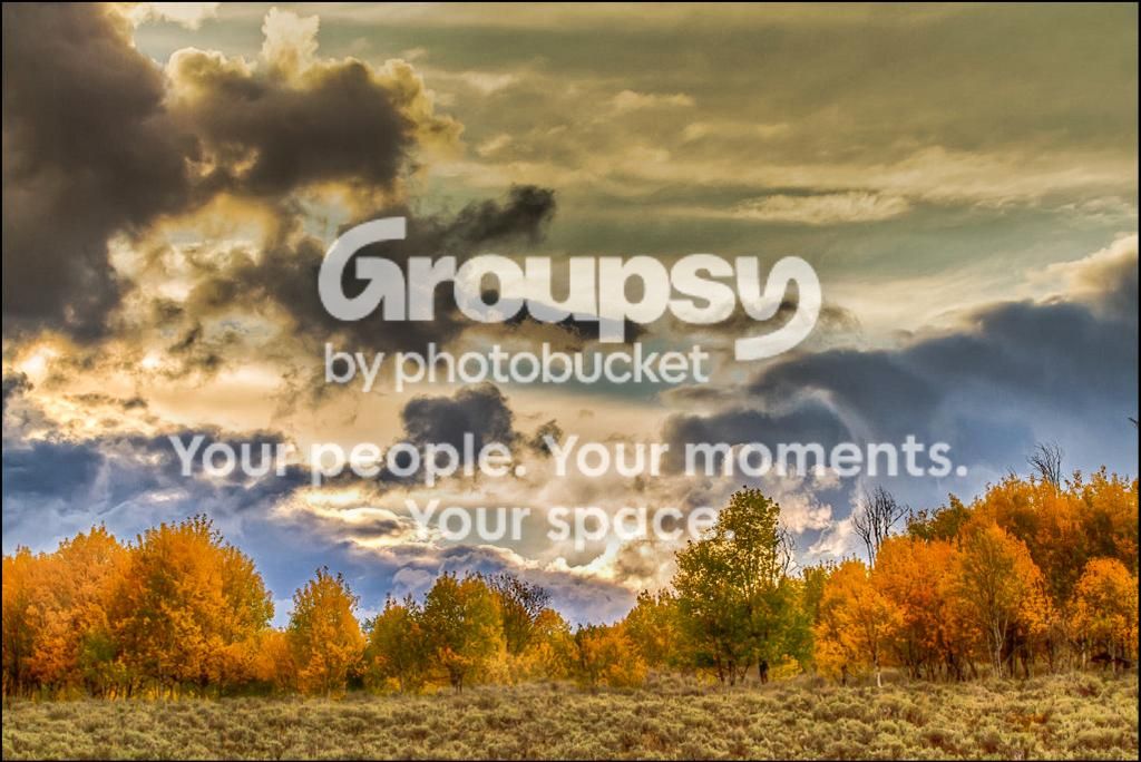 4-3Edit_zps90d9a318.jpg