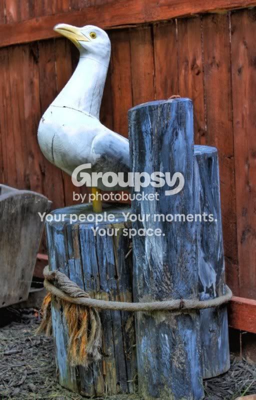 IMG_0163-hdr2.jpg