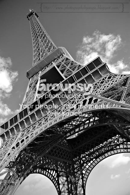 web_DSC_8535.jpg